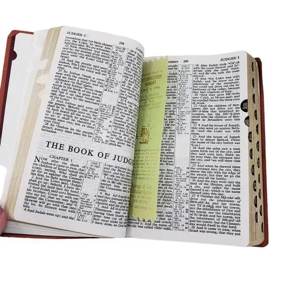 Vintage Holly Bible red letter edition King James references - Picture 5 of 10